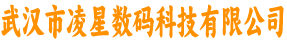 武汉凌星